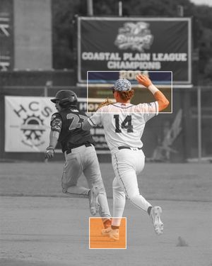 Image post by @ilmsharks on Instagram