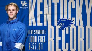 Image post by @UKSwimDive on Twitter