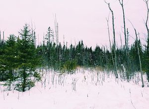 Image post by @themainemag on Instagram