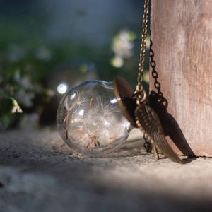 Image post by @leafyaffair on Instagram