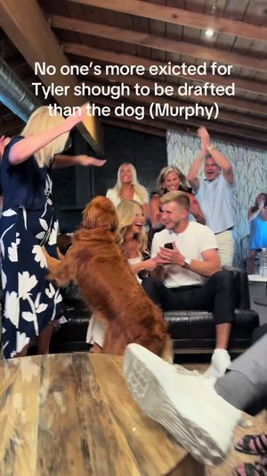 Video post by @averywormdahl on TikTok