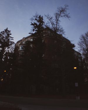 Image post by @moeshoots on Instagram