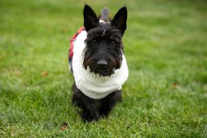 Image post by @hickeyfreeman on Instagram