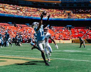 Image post by @panthers on Instagram