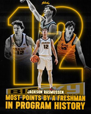 Image post by @vandalhoops on Instagram