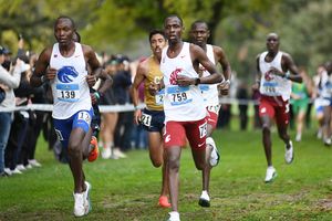 Image post by @tandfn on Instagram