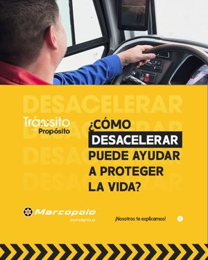 Image post by @marcopolosuperpolocol on Instagram