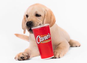 Image post by @raisingcane3 on Instagram