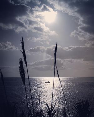 Image post by @cristan.nature.photography on Instagram