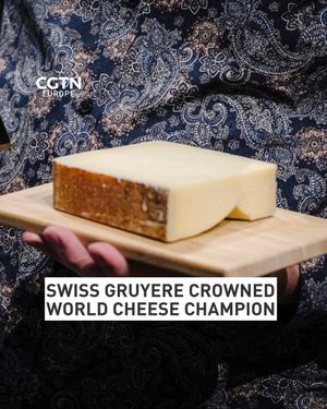 Image post by @cgtneurope on Instagram