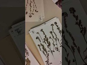 Video post by @The University of Texas at Austin on YouTube