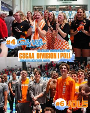 Image post by @vol_swimdive on Instagram