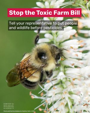 Image post by @centerforbiodiv on Instagram