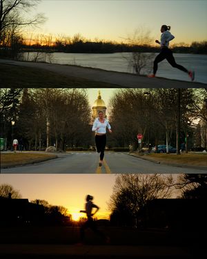 Image post by @thefightingirish on Instagram