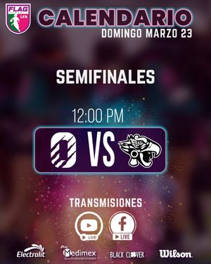 Image post by @lfa_mex on Instagram