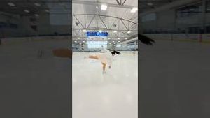 Video post by @lainedubin on YouTube