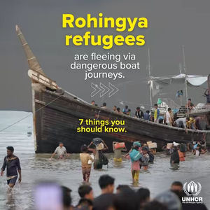 Image post by @refugees on TikTok