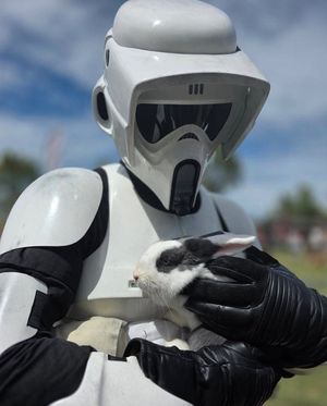 Image post by @official501st on Instagram
