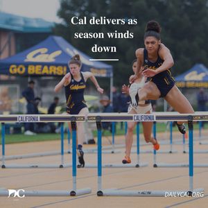 Image post by @dailycalsports on Instagram