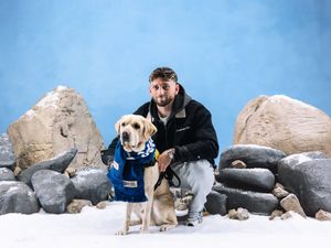 Image post by @WhitecapsFC on Twitter