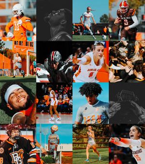 Image post by @MalloryHiser on Twitter