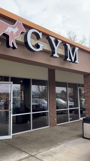 Video post by @Red-Fox-Gym on Facebook
