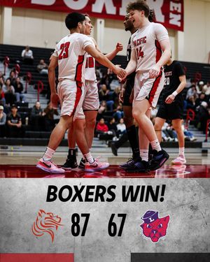 Image post by @goboxers on Instagram