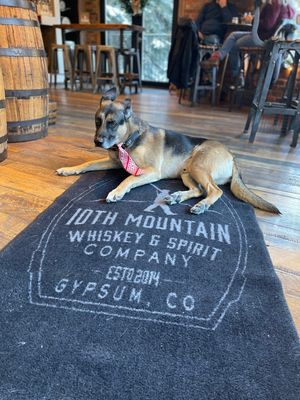 Image post by @10thmtnwhiskey on Instagram