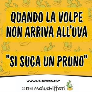 Image post by @maluchiffari on Instagram