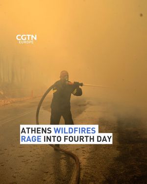 Image post by @cgtneurope on Instagram