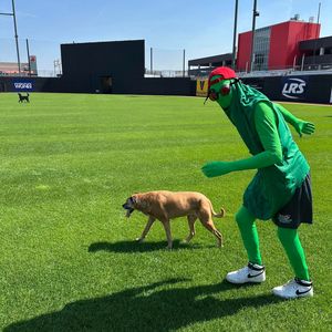 Image post by @thechicagodogs on Instagram