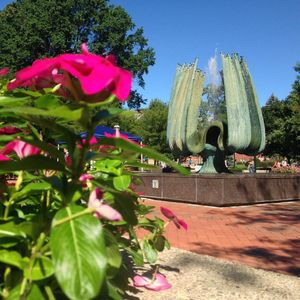 Image post by @marshallu on Instagram