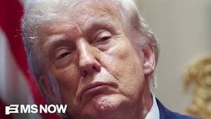 Video post by @msnbc on YouTube