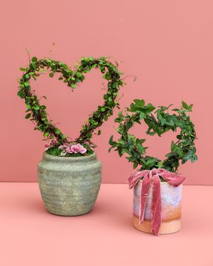Image post by @rogersgardens on Instagram