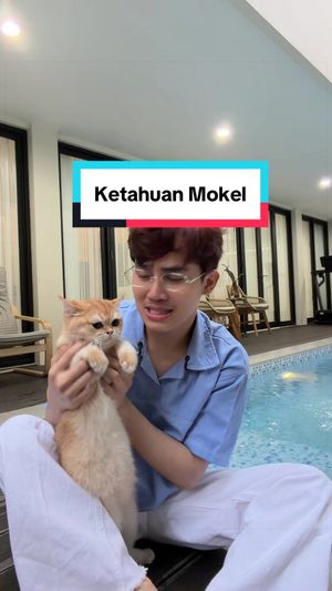 Video post by @efryee on TikTok