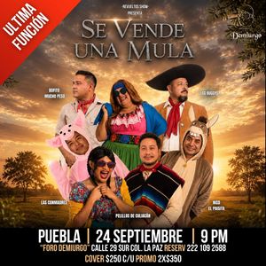 Image post by @pelillosdeculiacan on Instagram