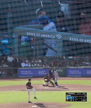 Image post by @therealdodgerhogs on Instagram