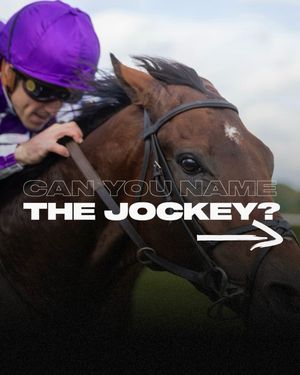 Image post by @worldhorseracing on Instagram