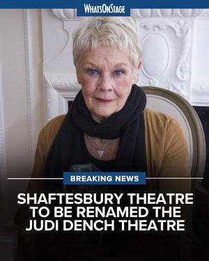 Video post by @whatsonstage on TikTok