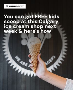 Image post by @curiocitycalgary on Instagram