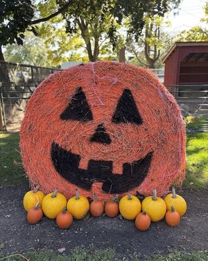 Image post by @cityofstcatharines on Instagram