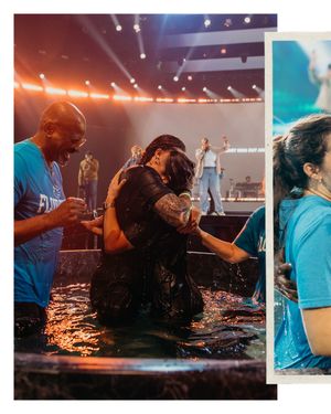 Image post by @wearetransformation on Instagram