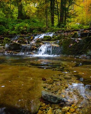 Image post by @cristan.nature.photography on Instagram