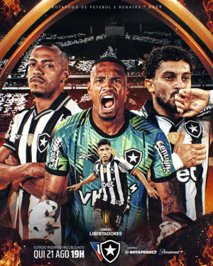Image post by @botafogo on TikTok