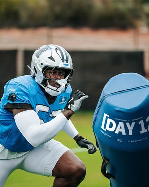 Image post by @panthers on Instagram