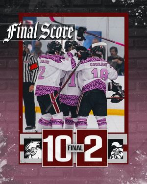 Image post by @cockhockey on Instagram