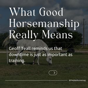 Image post by @theplaidhorsemag on Instagram