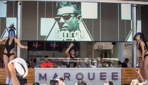 Image post by @marqueelv on Instagram