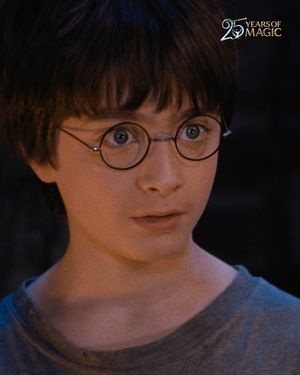 Image post by @harrypotter on Instagram