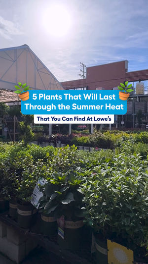 Video post by @lowes on Facebook